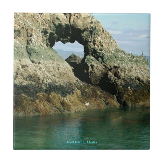 Insel Gull, Alaska Fliese (Vorderseite)