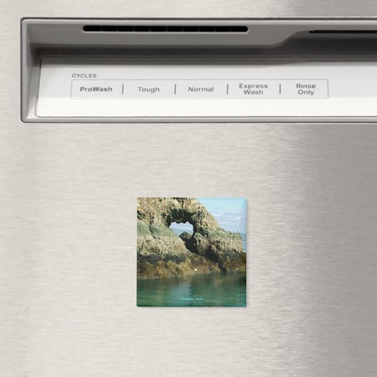 Insel Gull, Alaska Magnet (In Situ (Geschirrspüler))