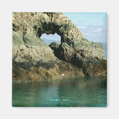 Insel Gull, Alaska Magnet (Vorne)