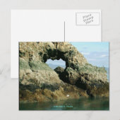 Insel Gull, Alaska Postkarte (Vorne/Hinten)