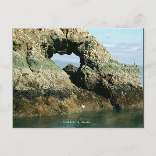 Insel Gull, Alaska Postkarte (Vorderseite)