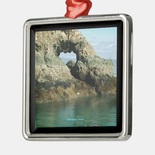 Insel Gull, Alaska Silbernes Ornament (Links)