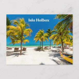 Insel Holbox Mexiko Schöner Strand mit Palmen  Postkarte
