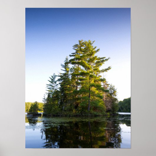 Insel im Long Pond Poster (Vorne)