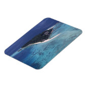 Insel Magnet (Linke Seite)