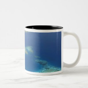 Insel Matamanoa und Korallenriff, Insel Mamanuca Zweifarbige Tasse