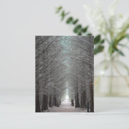 Insel Mull Forest Postkarte (Stehend Vorderseite)