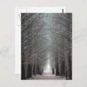 Insel Mull Forest Postkarte (Vorne/Hinten)