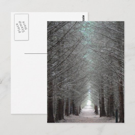 Insel Mull Forest Postkarte (Vorne/Hinten)