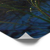 Insel Okaloosa Poster (Ecke)