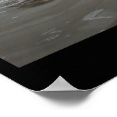 Insel Padre - Januar 2004 Poster (Ecke)