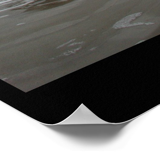 Insel Padre - Januar 2004 Poster (Ecke)