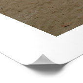 Insel Poster (Ecke)