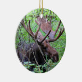 Insel Royale Nationalpark-Verzierung Keramik Ornament (Rechts)