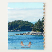 Insel Salish Planer (Rückseite)