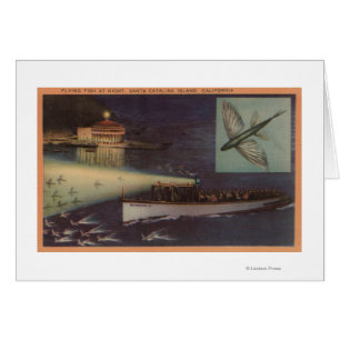 Insel Sankt Catalina, CA-Kasino, fliegender Fisch