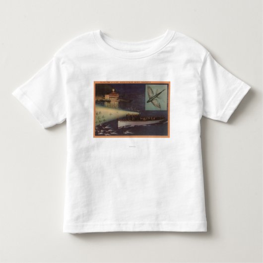 Insel Sankt Catalina, CA-Kasino, fliegender Fisch Kleinkind T-shirt (Vorderseite)