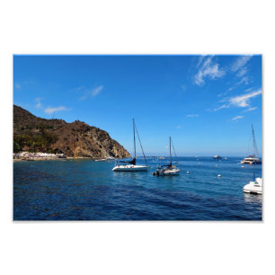 Insel Santa Catalina Fotodruck
