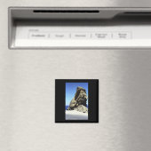 Insel Santa Catalina Magnet (In Situ (Geschirrspüler))