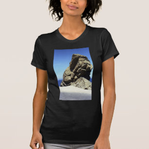 Insel Santa Catalina T-Shirt
