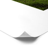 Insel Santorini, Griechenland Poster (Ecke)