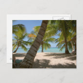 Insel Saona Dominikanische Republik Postkarte (Vorne/Hinten)