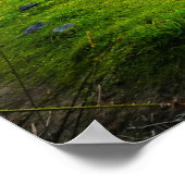Insel Skye Schottland Poster (Ecke)