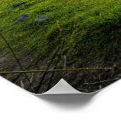 Insel Skye, Schottland, Vereinigtes Königreich Poster (Ecke)