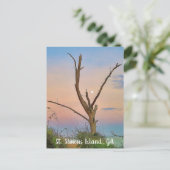 Insel St. Simons, GA East Beach Sunset Postkarte (Stehend Vorderseite)