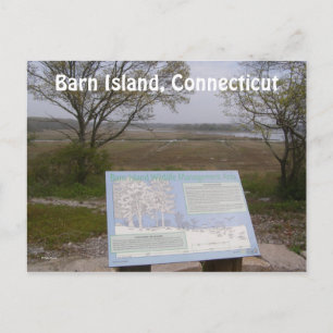 Insel Stall, Connecticut Postkarte