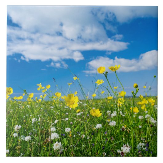 Insel Süduist | Schottland Fliese (Vorderseite)