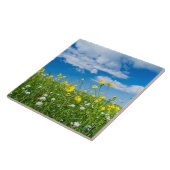 Insel Süduist | Schottland Fliese (Seite)