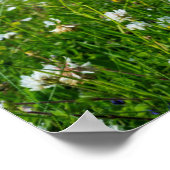 Insel Süduist | Schottland Poster (Ecke)