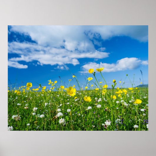 Insel Süduist | Schottland Poster (Vorne)