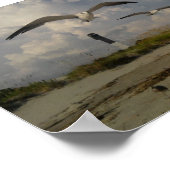 Insel Sullivans, SC Poster (Ecke)