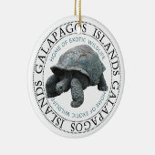 Insel Tortoise Galapagos Keramik Ornament (Rechts)