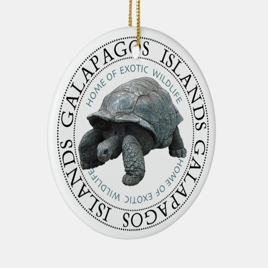 Insel Tortoise Galapagos Keramik Ornament (Rechts)