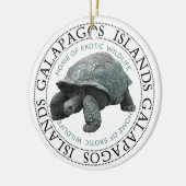 Insel Tortoise Galapagos Keramik Ornament (Links)