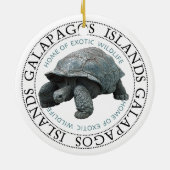 Insel Tortoise Galapagos Keramik Ornament (Hinten)