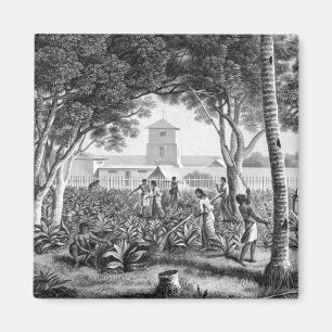 Insel von Guam: Eingeborene bei der Arbeit im Magnet