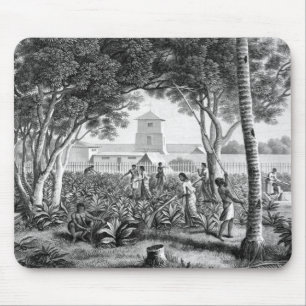 Insel von Guam: Eingeborene bei der Arbeit im Mousepad