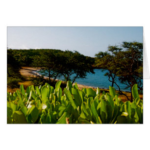 Insel von Lanai in Hawaii