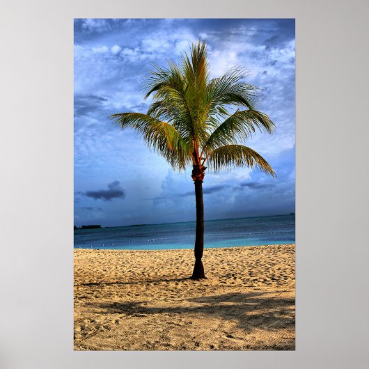 Inselbaum Poster (Vorne)