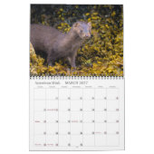 Inselkalender 2026 kalender (Mär 2027)