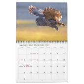 Inselkalender 2026 kalender (Feb 2027)