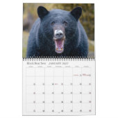 Inselkalender 2026 kalender (Jan 2027)