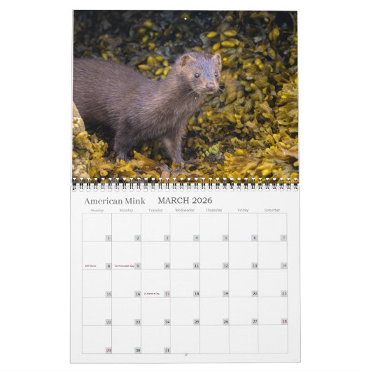 Inselkalender 2026 kalender (Mär 2026)