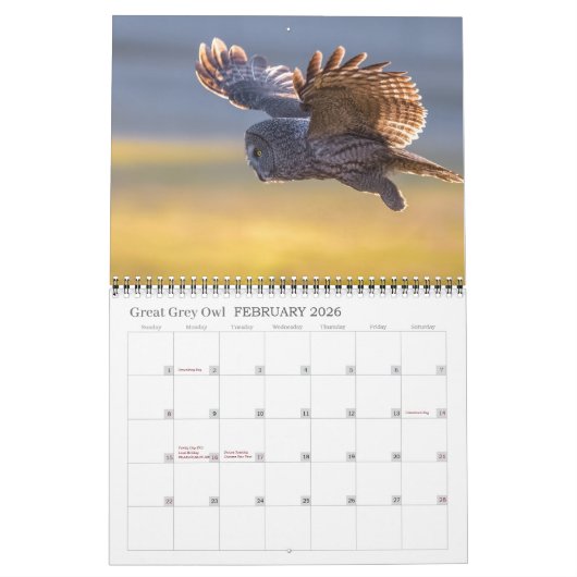 Inselkalender 2026 kalender (Feb 2026)