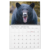 Inselkalender 2026 kalender (Jan 2026)