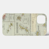 Inseln, Atlantik Case-Mate iPhone Hülle (Rückseite (Horizontal))